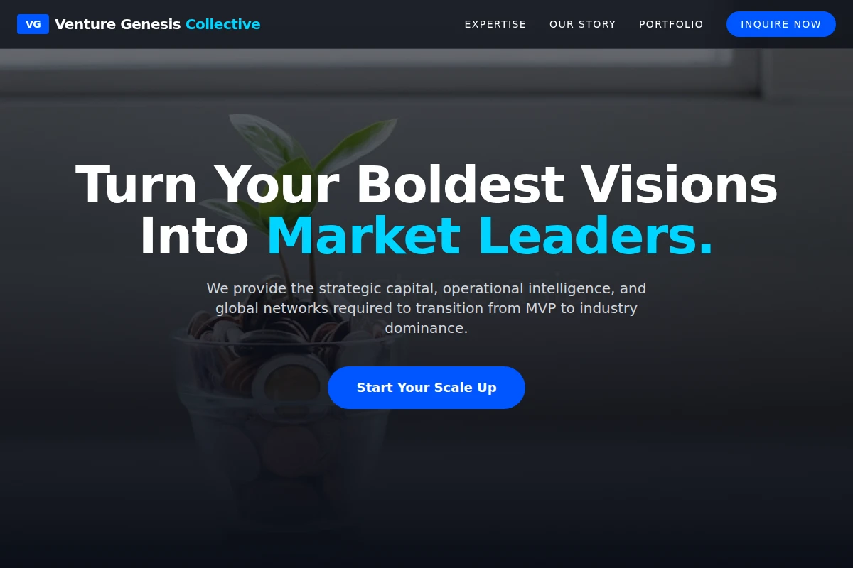 MVP Venture Capital